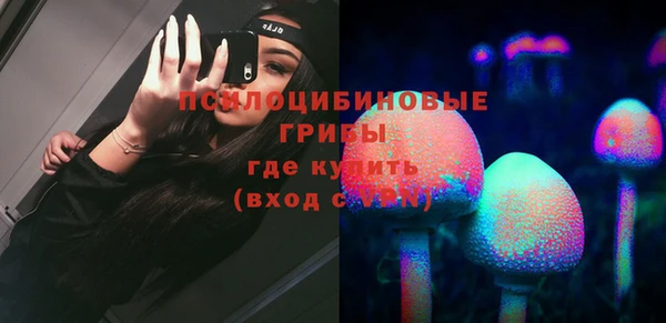 PSILOCYBIN Балахна