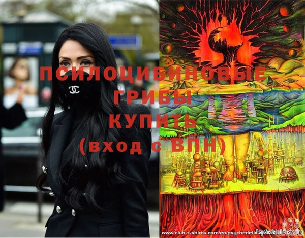 PSILOCYBIN Балахна