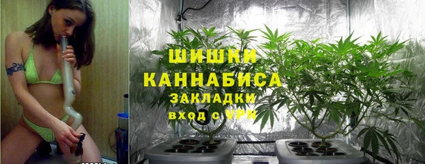 PSILOCYBIN Балахна