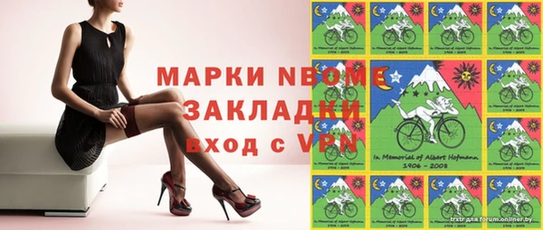Альфа ПВП Новозыбков
