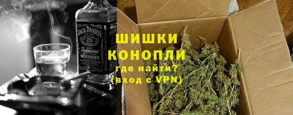 PSILOCYBIN Балахна