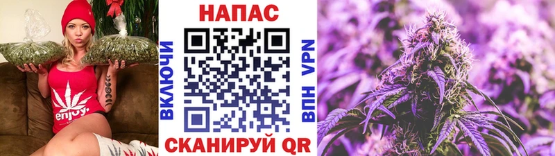 Бошки марихуана Amnesia  Борзя 